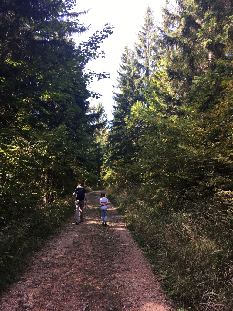 Hiking St Radegund, Schöckl, Graz, Novystein near Graz with great views. Easy hike. 