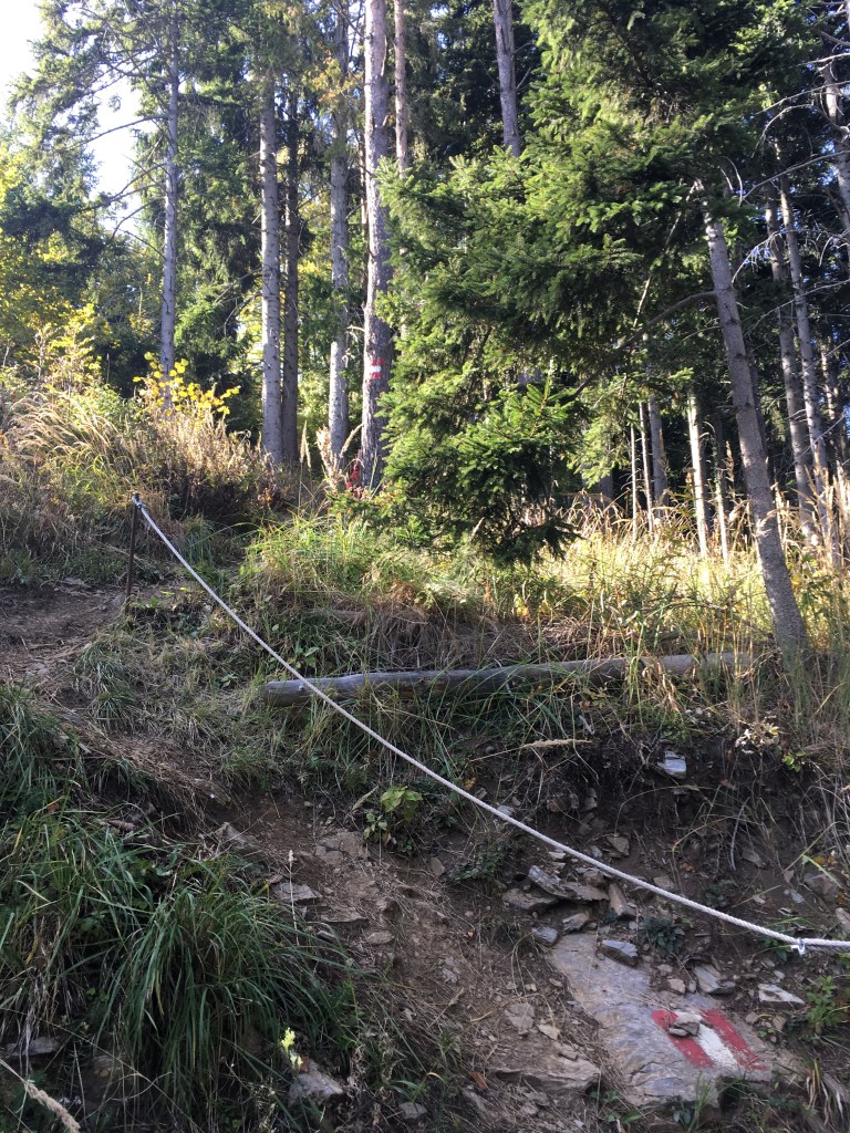 Hiking St Radegund, Schöckl, Graz, Novystein near Graz with great views. Easy hike. 